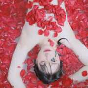 ヒメ日記 2025/06/18 16:36 投稿 なの 妖精（ようせい）