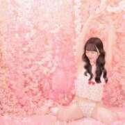 ヒメ日記 2025/06/20 17:30 投稿 なの 妖精（ようせい）