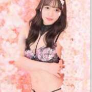 ヒメ日記 2025/06/26 16:35 投稿 なの 妖精（ようせい）