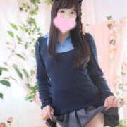 ヒメ日記 2025/06/28 08:14 投稿 なの 妖精（ようせい）