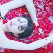 ヒメ日記 2025/07/01 21:47 投稿 なの 妖精（ようせい）