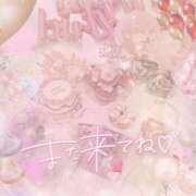 ヒメ日記 2025/07/12 17:18 投稿 なの 妖精（ようせい）