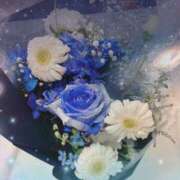 ヒメ日記 2025/07/12 23:38 投稿 なの 妖精（ようせい）