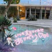 ヒメ日記 2025/07/14 16:49 投稿 なの 妖精（ようせい）