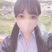 ヒメ日記 2025/07/28 08:43 投稿 なの 妖精（ようせい）