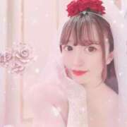 ヒメ日記 2025/08/01 10:46 投稿 なの 妖精（ようせい）