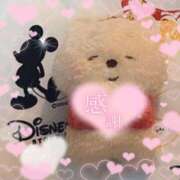 ヒメ日記 2025/08/15 09:49 投稿 なの 妖精（ようせい）