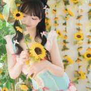 ヒメ日記 2025/08/23 08:48 投稿 なの 妖精（ようせい）