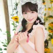 ヒメ日記 2025/08/24 11:11 投稿 なの 妖精（ようせい）