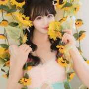 ヒメ日記 2025/08/30 13:18 投稿 なの 妖精（ようせい）