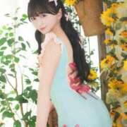 ヒメ日記 2025/09/07 13:00 投稿 なの 妖精（ようせい）