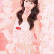 ヒメ日記 2025/09/08 14:59 投稿 なの 妖精（ようせい）