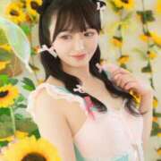 ヒメ日記 2025/09/11 21:12 投稿 なの 妖精（ようせい）