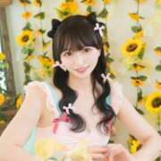 ヒメ日記 2025/09/13 08:44 投稿 なの 妖精（ようせい）