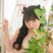 ヒメ日記 2025/09/23 13:13 投稿 なの 妖精（ようせい）