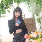 ヒメ日記 2025/09/23 16:55 投稿 なの 妖精（ようせい）