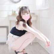 ヒメ日記 2025/09/24 09:35 投稿 なの 妖精（ようせい）