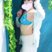 ヒメ日記 2025/09/27 08:02 投稿 なの 妖精（ようせい）