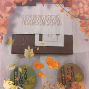 ヒメ日記 2025/09/28 01:46 投稿 なの 妖精（ようせい）