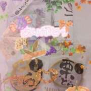 ヒメ日記 2025/10/24 14:54 投稿 なの 妖精（ようせい）