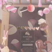 ヒメ日記 2025/10/24 23:06 投稿 なの 妖精（ようせい）