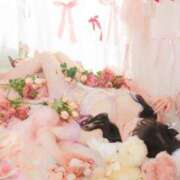 ヒメ日記 2025/11/11 07:56 投稿 なの 妖精（ようせい）