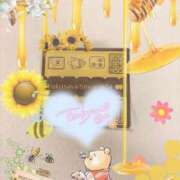 ヒメ日記 2025/11/11 12:29 投稿 なの 妖精（ようせい）