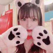 ヒメ日記 2025/11/14 12:36 投稿 なの 妖精（ようせい）