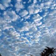 ヒメ日記 2025/12/07 22:32 投稿 なの 妖精（ようせい）