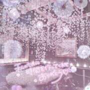 ヒメ日記 2025/12/21 17:30 投稿 なの 妖精（ようせい）