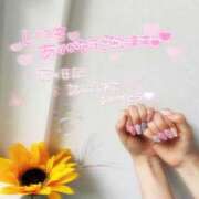 ヒメ日記 2026/01/08 16:03 投稿 なの 妖精（ようせい）