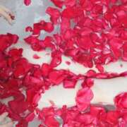 ヒメ日記 2026/01/13 10:37 投稿 なの 妖精（ようせい）