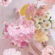 ヒメ日記 2026/01/15 15:16 投稿 なの 妖精（ようせい）