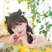 ヒメ日記 2026/02/09 08:25 投稿 なの 妖精（ようせい）