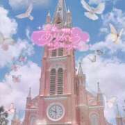 ヒメ日記 2026/02/12 17:05 投稿 なの 妖精（ようせい）