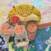 ヒメ日記 2026/02/13 19:08 投稿 なの 妖精（ようせい）