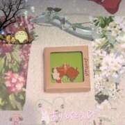 ヒメ日記 2026/02/14 20:26 投稿 なの 妖精（ようせい）