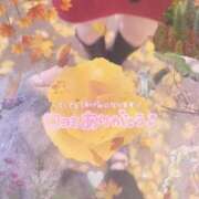 ヒメ日記 2026/02/16 19:55 投稿 なの 妖精（ようせい）