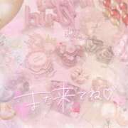 ヒメ日記 2026/03/17 11:25 投稿 なの 妖精（ようせい）