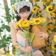 ヒメ日記 2026/04/01 22:48 投稿 なの 妖精（ようせい）