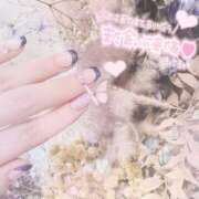 ヒメ日記 2026/04/04 13:40 投稿 なの 妖精（ようせい）