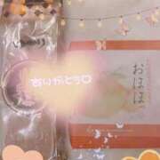 ヒメ日記 2026/04/04 15:15 投稿 なの 妖精（ようせい）