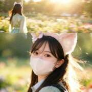 ヒメ日記 2026/04/11 21:25 投稿 なの 妖精（ようせい）