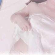 ヒメ日記 2026/04/20 13:05 投稿 なの 妖精（ようせい）