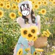 ヒメ日記 2026/05/01 17:06 投稿 なの 妖精（ようせい）