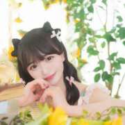 ヒメ日記 2026/05/13 15:45 投稿 なの 妖精（ようせい）