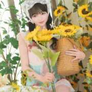 ヒメ日記 2026/06/25 13:25 投稿 なの 妖精（ようせい）