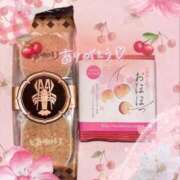 ヒメ日記 2026/06/27 16:55 投稿 なの 妖精（ようせい）