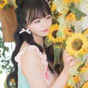 ヒメ日記 2026/07/18 12:40 投稿 なの 妖精（ようせい）