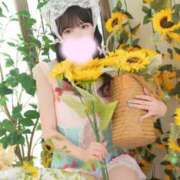 ヒメ日記 2026/07/20 20:45 投稿 なの 妖精（ようせい）